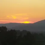 Anz בית אירוח סלצ'וק