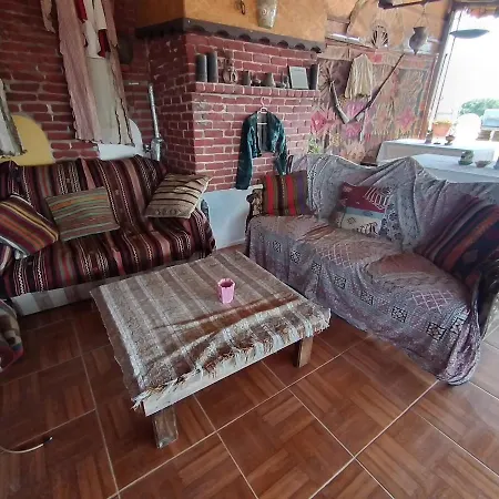 Anz 홈스테이 셀주크