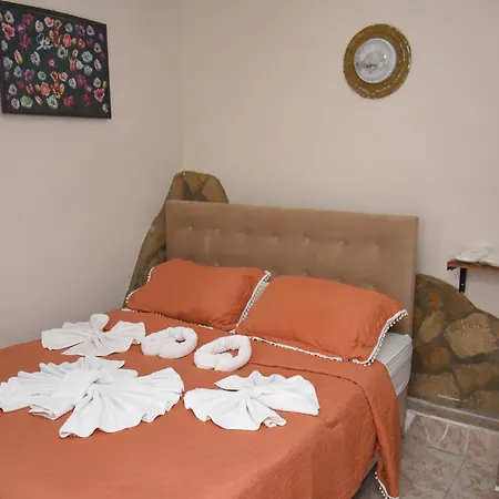 Anz 홈스테이 셀주크