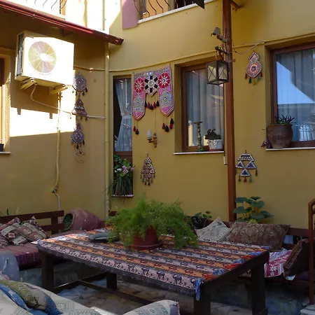 홈스테이 Anz 셀주크