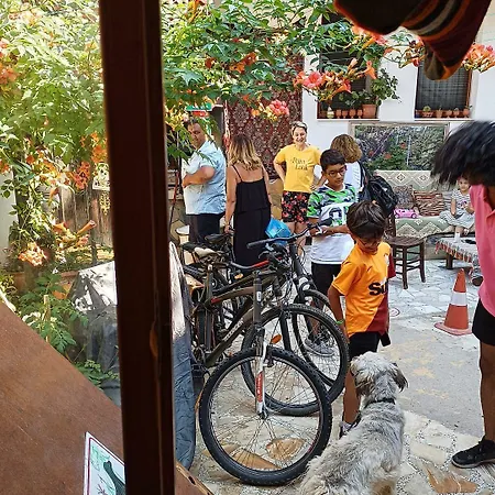 홈스테이 Anz 셀주크